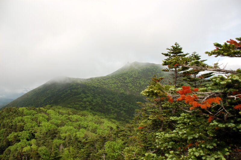 金峰山の山頂