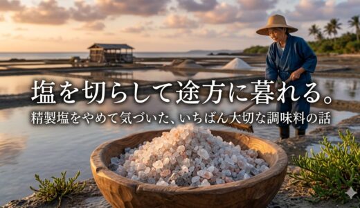 塩を切らして途方に暮れる。——精製塩をやめて気づいた、いちばん大切な調味料の話