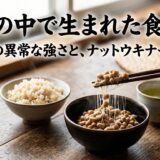納豆