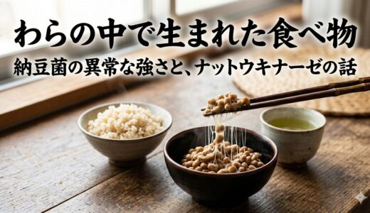 わらの中で生まれた食べ物——納豆菌の異常な強さと、ナットウキナーゼの話