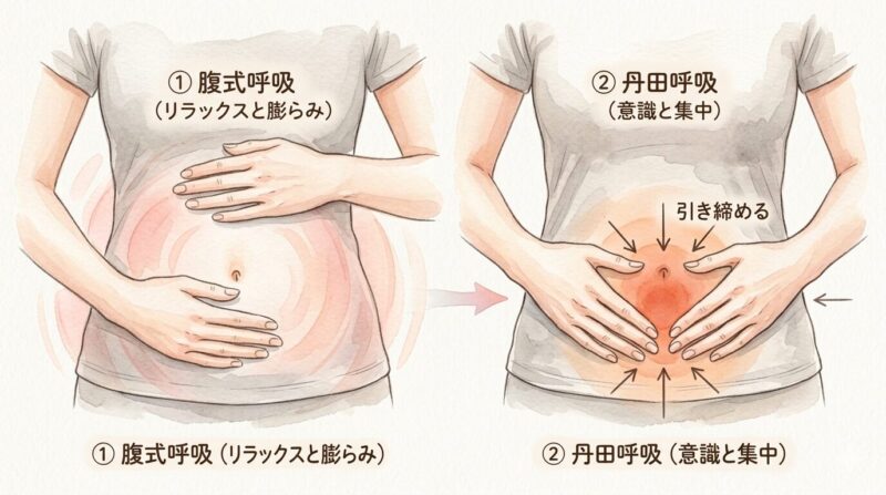 腹式呼吸
