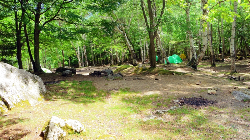 キャンプ場