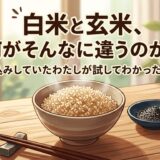 玄米ご飯