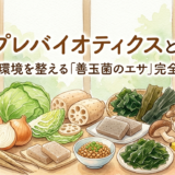 プレバイオティクスとは——腸内環境を整える「善玉菌のエサ」完全ガイド