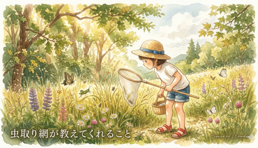 虫取り網が教えてくれること。センス・オブ・ワンダーと、子どもと過ごす夏の話
