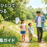 日曜ファーブルのすすめ。虫取り網ひとつで、夏が変わる