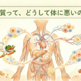 糖質って、どうして体に悪いの？