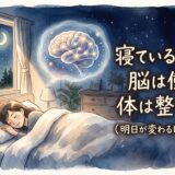 寝ているあいだ、脳は働き、体は整っていく——明日が変わる睡眠の秘密