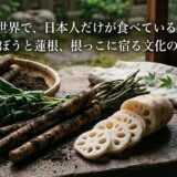 世界で、日本人だけが食べている。——ごぼうと蓮根、根っこに宿る文化の話