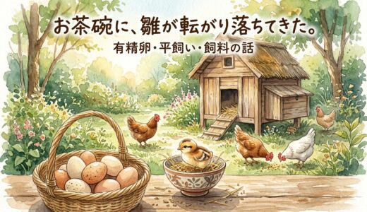 お茶碗に、雛が転がり落ちてきた。——有精卵・平飼い・飼料の話