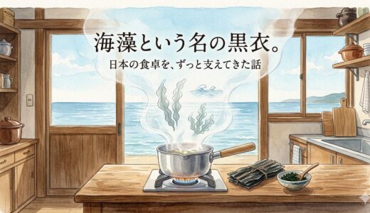 海藻という名の黒衣——日本の食卓を、ずっと支えてきた話