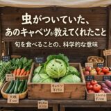 虫がついていた、あのキャベツが教えてくれたこと——旬を食べることの、科学的な意味