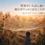 蜘蛛の巣と雨露